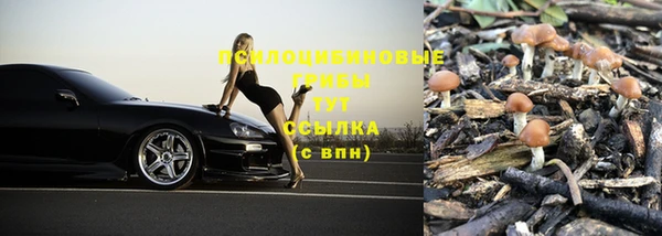 хмурый Алексин