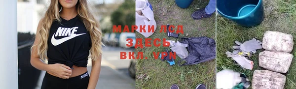 хмурый Алексин
