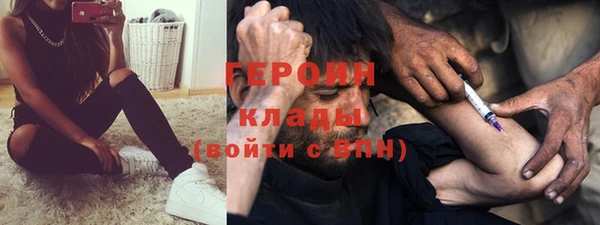 хмурый Алексин