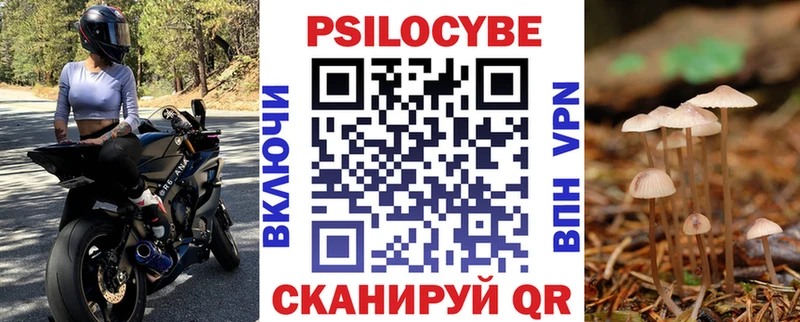 Псилоцибиновые грибы Psilocybine cubensis  Череповец 