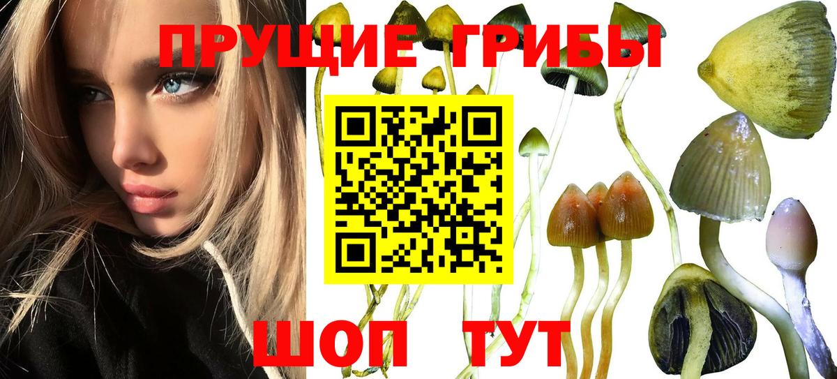 Череповец  Галлюциногенные грибы Magic Shrooms  Галлюциногенные грибы Psilocybe  Вход с VPN 